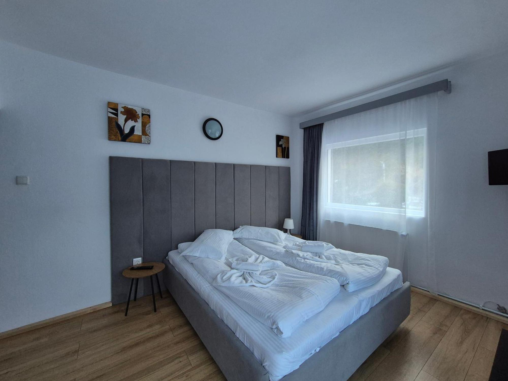 Pensiunea Liziera Busteni Room photo